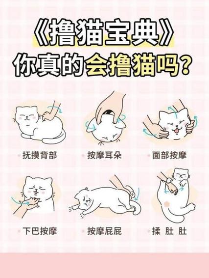 民间土方猫咪止痒图标