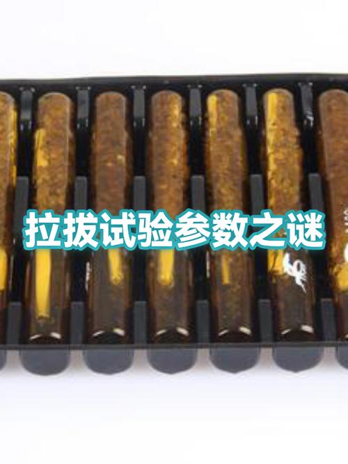 举例说明什么是参数