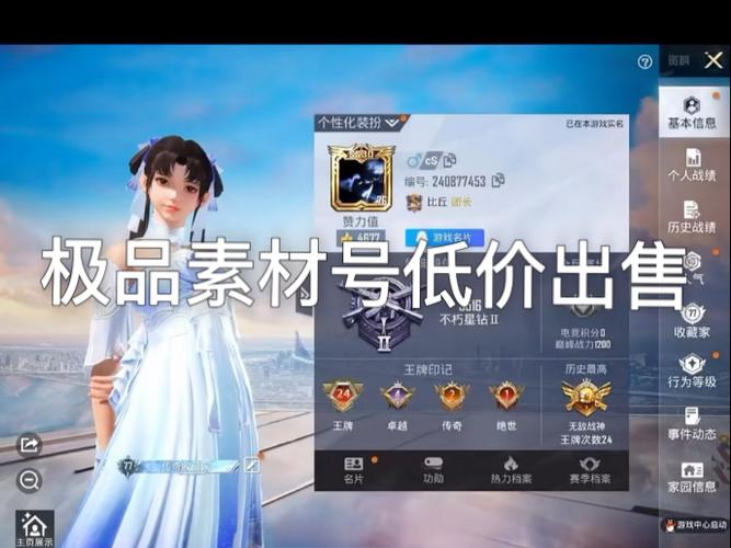 刺激战场id游戏截图