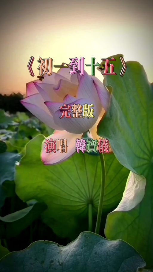 搜谱网 歌曲简谱缩略图