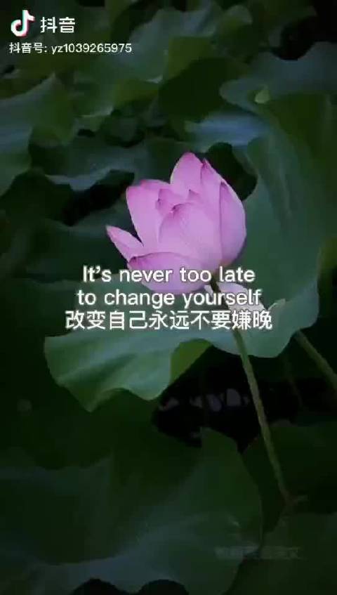 2010手机桌面旧版本大全缩略图