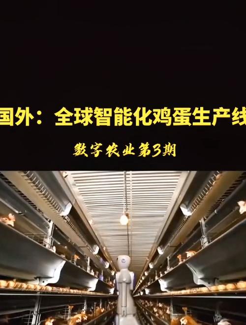 人造鸡蛋流水线自动化设备游戏截图