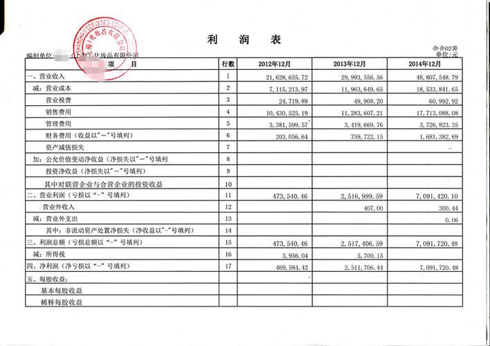 财务报表游戏截图