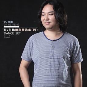谁何鹏dj版下载