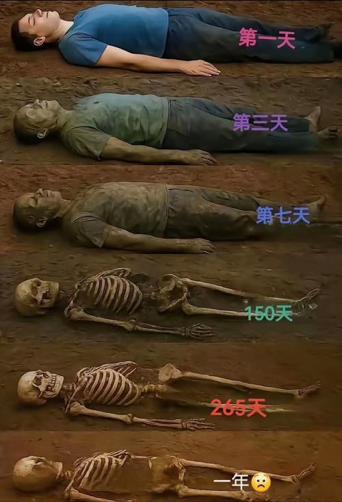 我在西游收尸的日子