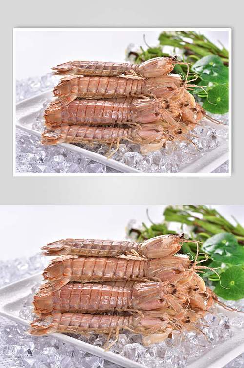 皮皮虾广告图缩略图