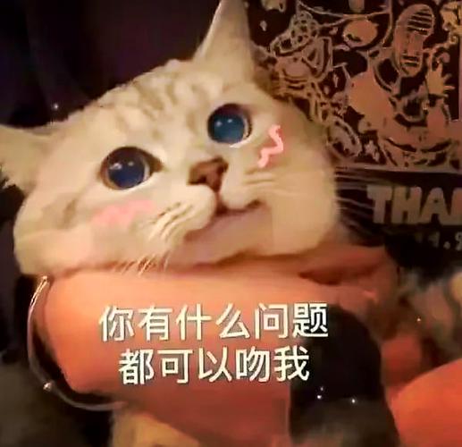 暧昧表情包男生专用缩略图