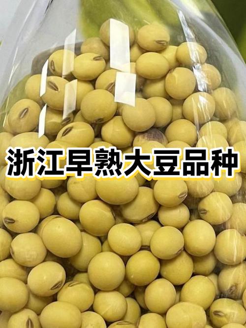 豆粒养猪靠谱吗缩略图