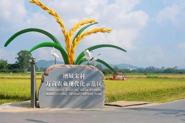粮食保质期多长时间缩略图