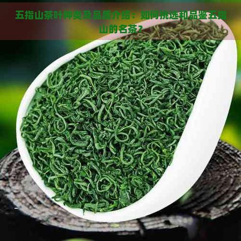 五指山最出名的三个茶