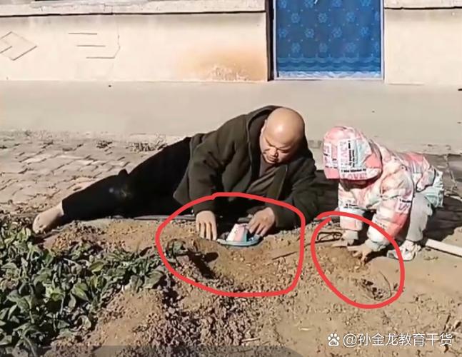 爷爷的农家小院350字缩略图