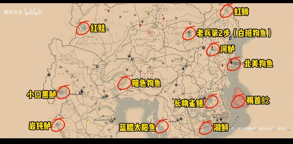 荒野大镖客15种鱼