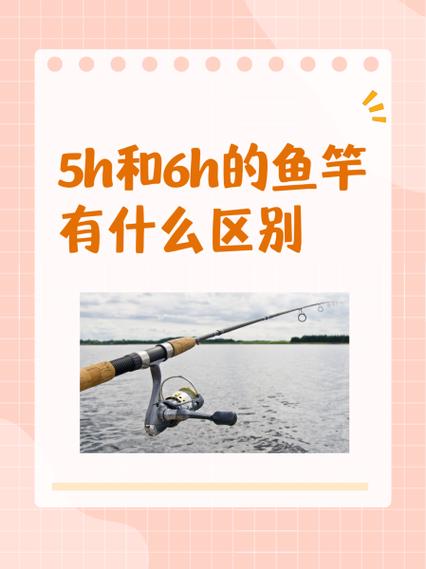 5h和6h的鱼竿有什么区别游戏截图