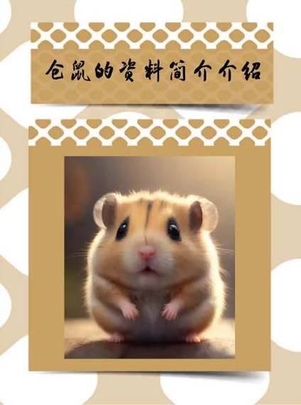 出门一个月仓鼠怎么自己生存