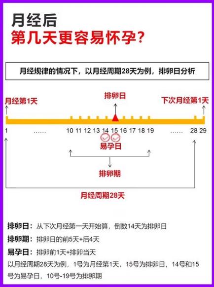怀孕了还会来月经吗图标