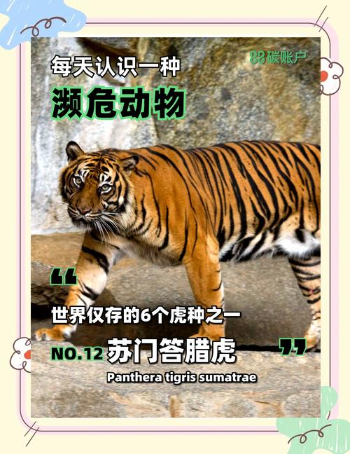 国家保护动物举报热线