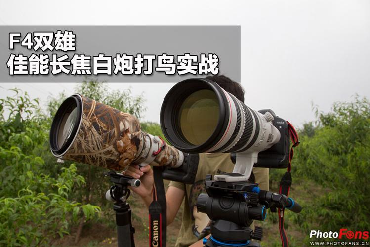佳能打鸟镜头哪个好