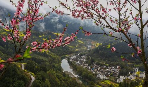 三里桃花游戏截图