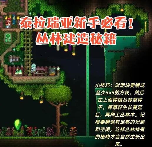 泰拉瑞亚丛林地图介绍
