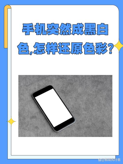 苹果手机把黑白照片变彩色图标