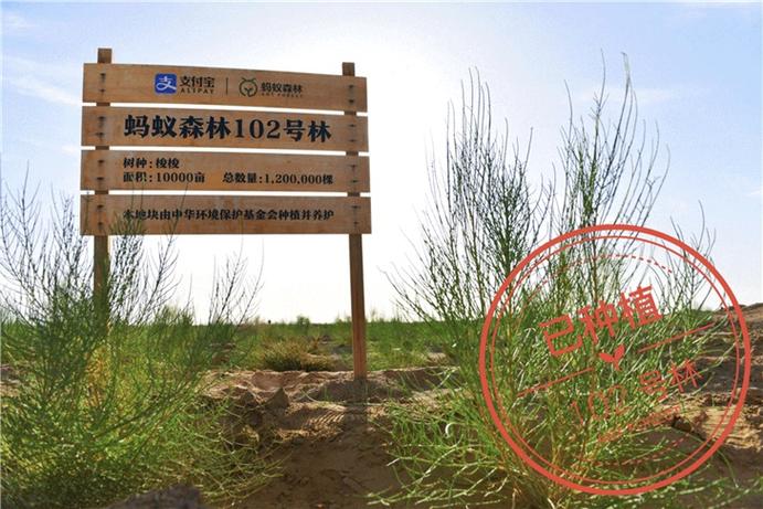 蚂蚁森林申请保护地有什么好处