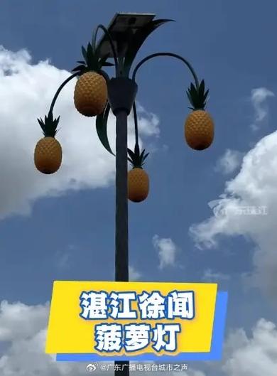 珠江频道荔枝网缩略图