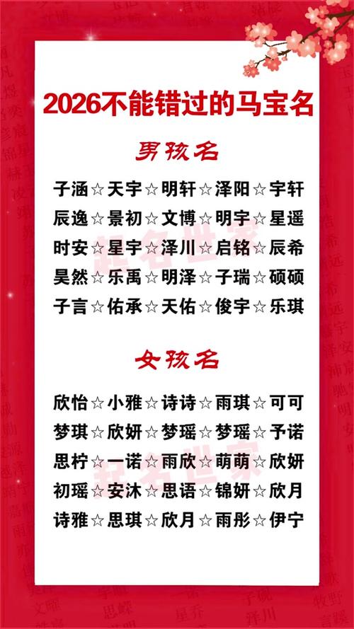 2026最旺男孩名字游戏截图