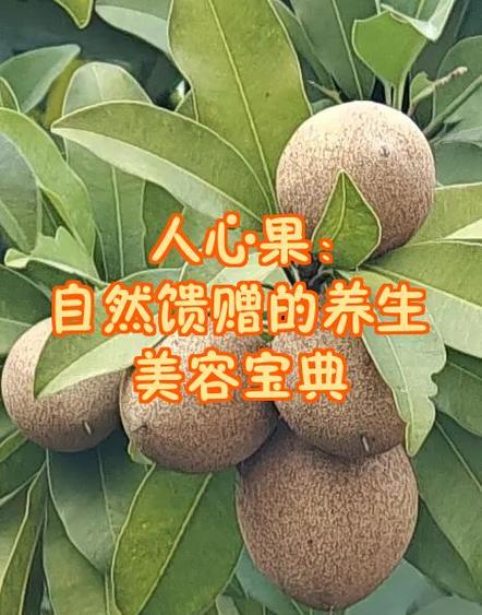 十大护肤水果排行榜缩略图