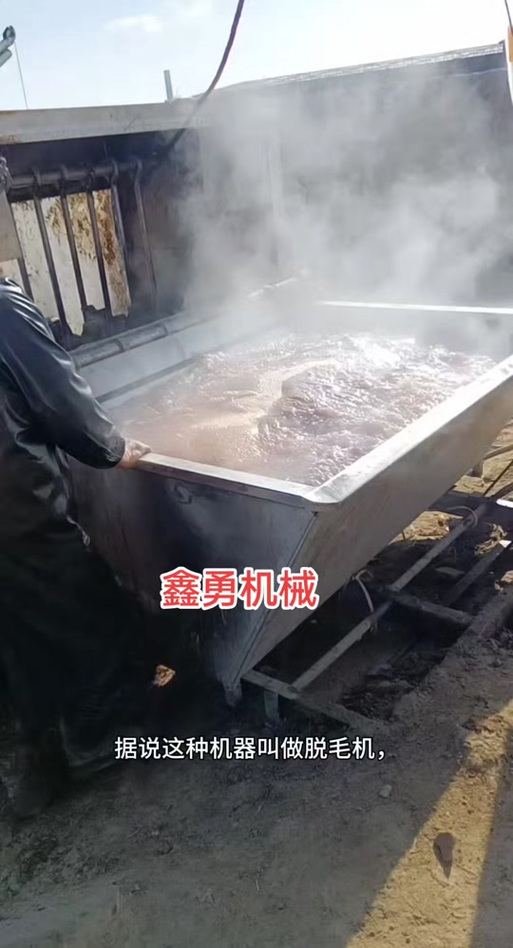 杀猪机器全自动缩略图