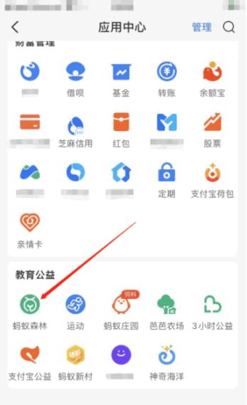 支付宝走路能量上限游戏截图