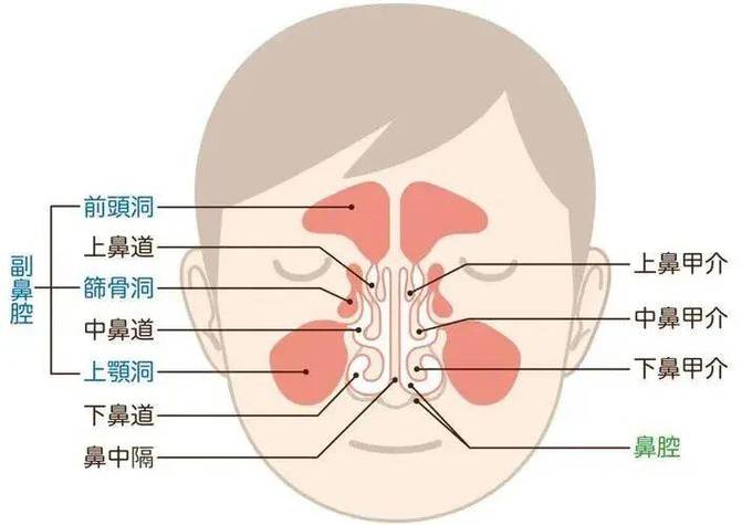 鼻涕浓稠带血丝怎么回事