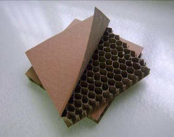 蜂窝手工立体制作步骤游戏截图