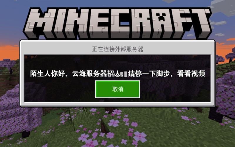 我的世界无限资源生存服务器游戏截图