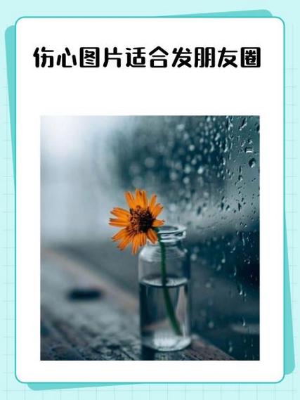 图片一发朋友圈就变模糊缩略图