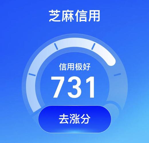 哪个网贷只看芝麻信用游戏截图