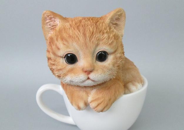 1元茶杯猫缩略图