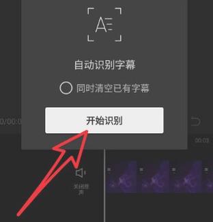 在线视频声音转换成文字图标