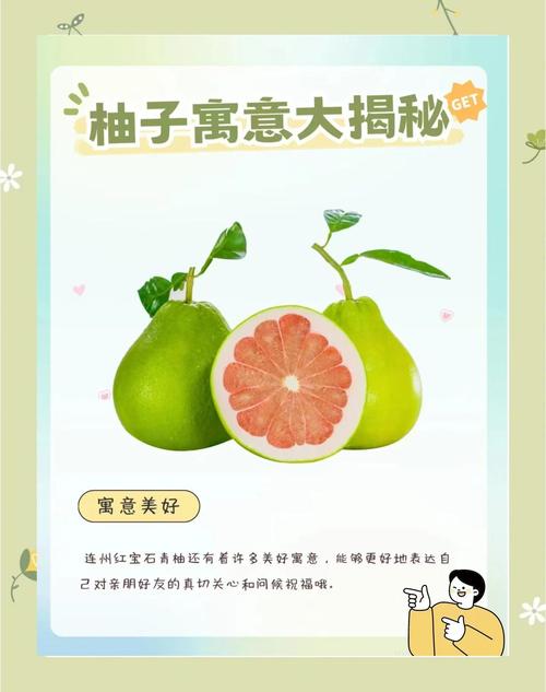 柚子取名好不好