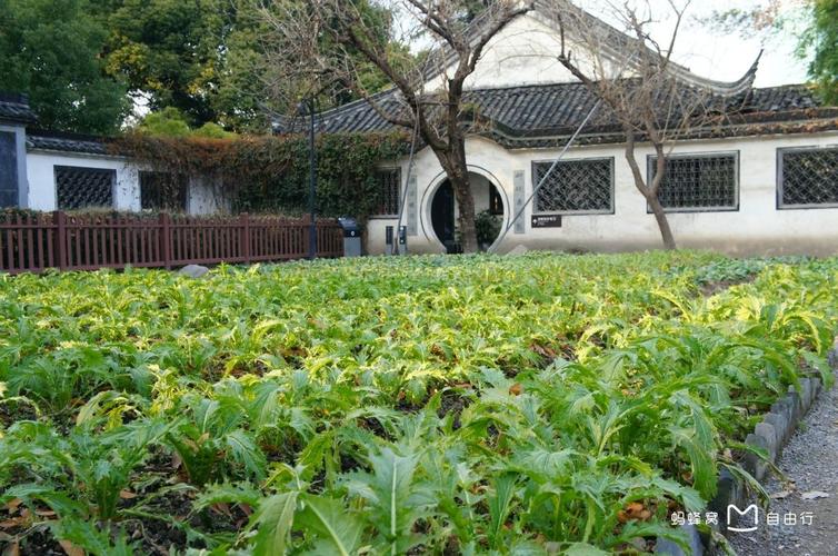 百草园妈妈花园图标