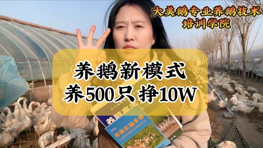 养鹅两百个能赚多少钱图标