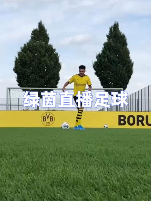 在线直播 足球图标