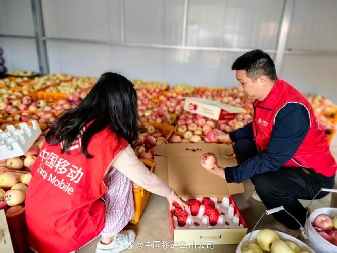 i志愿苹果app缩略图
