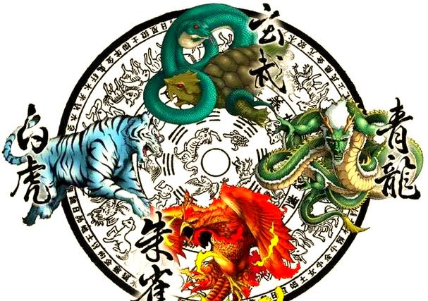 太阳能量收集器