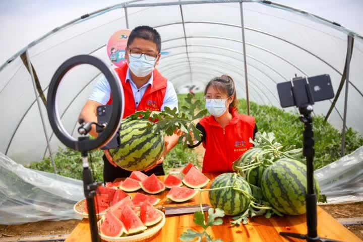 西瓜直播刷礼物缩略图