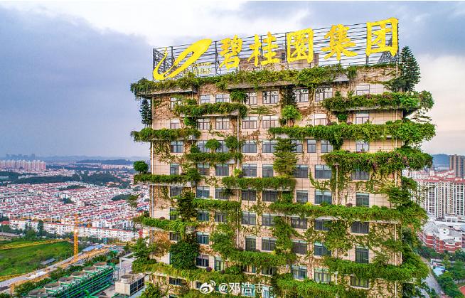 碧桂园市值多少亿人民币缩略图