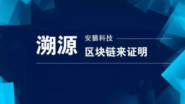 安猫区块链缩略图