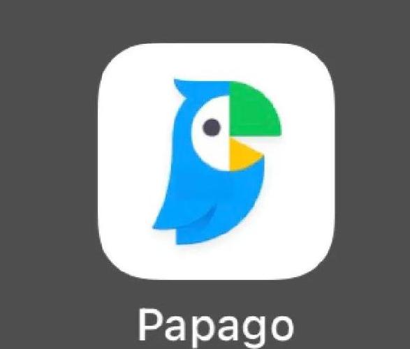 papago官网下载最新版安卓缩略图