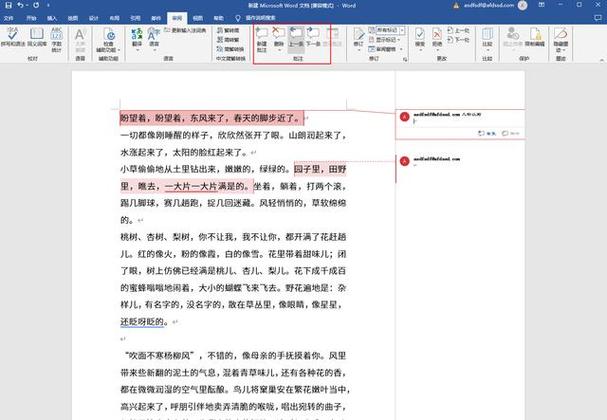 共享的屏幕上无法批注