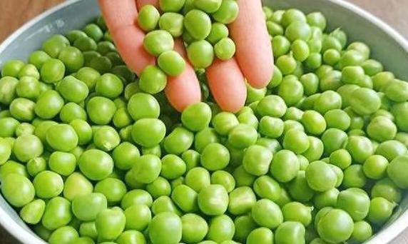 豌豆保存是生的好还是熟的好图标