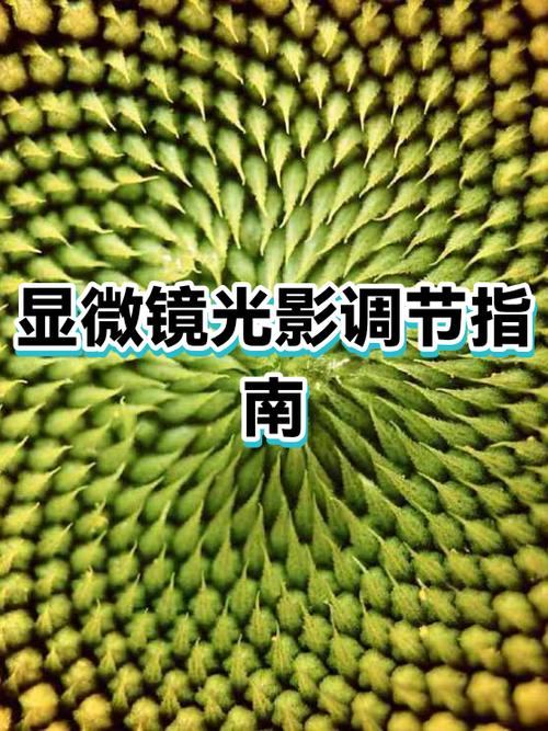 降低手机屏幕亮度软件缩略图